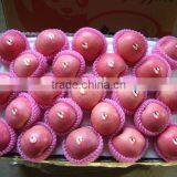 China Fresh Apple Fruit 2015 From Yantai thumbnail-1
