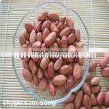 Groundnut Peanut Kernels thumbnail-3