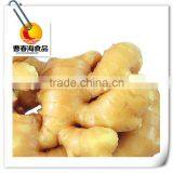 China Fresh Ginger thumbnail-1