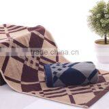Wholesale Custom 100% Terry Cotton Bath Towel Luxury Hotel Towel thumbnail-3