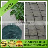 UV stablized plastic agricultural anti bird netting for orchard/garden/fruit tree