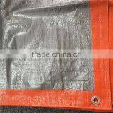 Grey Brezentas thumbnail-6