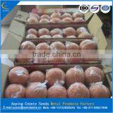 Cleaning Sponge Ball of Concrete Pump Pipe thumbnail-3