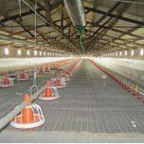 Poultry Equipment Chickenhouse Feeding Line thumbnail-3