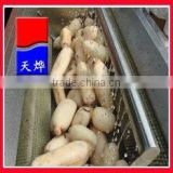 TY-1000A Hot Selling & Brushes Vegetable washer (Video)
