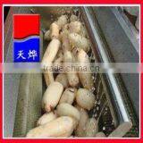 TY-1000A Hot Selling & Brushes Vegetable Washer (Video) thumbnail-1