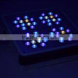 Hot Selling Apollo 4 Led Grow Lights Hydroponic thumbnail-5
