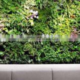 Fake Plant Wall Good Price Factory Plant Artificial Walls thumbnail-5