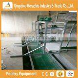 China Factory Price Trade Assurance Chicken Poultry Farm Equipment Layer Cage thumbnail-6