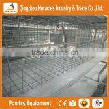 China Trade Assurance Chicken Bird Cage for Sale thumbnail-4
