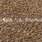 Celery Seed thumbnail-3