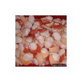 Frozen Scallops With Roes thumbnail-1