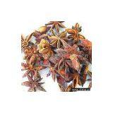 Sell Star Aniseeds thumbnail-1