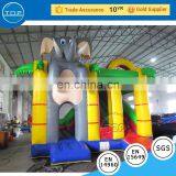New Design Water Park Slides Inflatable Bouncers for Sale With Great Price thumbnail-1