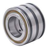 WSBC Sealed double row full complement cylindrical roller bearings SL04 5005 PP