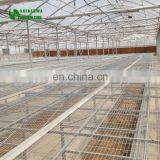 Commercial Agricultural Greenhouse Movable Nursery Bench thumbnail-3