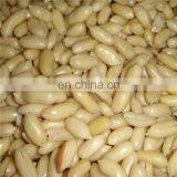 High Performance Soaked Groundnut Cleaning Machine thumbnail-3
