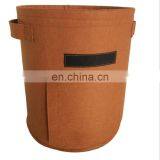 Shiitake Mushroom Garden Felt Grow Bag thumbnail-4
