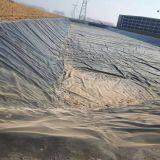 Hdpe Geomembrane Pond Liner Anti-UV Waterproof Material Geomembrane Liner thumbnail-2