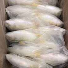 Frozen Golden Pompano thumbnail-3
