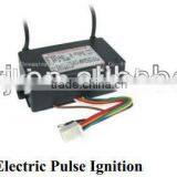 High Energy Electric Pulse Igniter for Gas Ignition System Quality Choice thumbnail-1