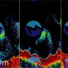 FURUNO NX300 Monochrome LCD Display thumbnail-3