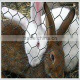 Hexagonal Netting for Little Animals