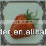 Fruit Ceramic Decoration Border thumbnail-1
