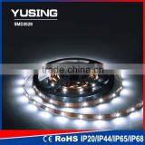 Cool White DC 12V/24V 120 LEDs/Meter SMD White LED Strips Light