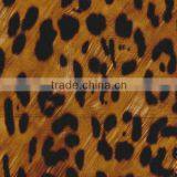 PET Transfer Foil for Bags