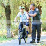 Haoling EN15194 20inch Lightweight Green Power Electric Bike thumbnail-4