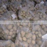 White Potato New Crop thumbnail-1