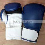 Boxing Gloves / Sports Gloves thumbnail-1