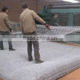 Galvanized &PVC Coated Anping Factory Gabion Box Basket/Gabion Wire Mesh Netting thumbnail-4