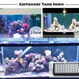 DSunY Android Wifi Programmable Led Aquarium Light With 4 Channels Dimmable thumbnail-6