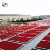 Dried Goji Berry Organic Goji Berries thumbnail-1