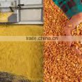 Buy Yellow Maize From India