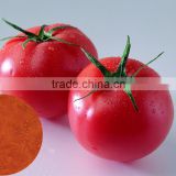 100% Natural fruit powder Tomato Extract Powder Lycopene Powder
