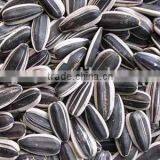 china High quality sunflower seeds