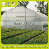 Hot Galvanized Pipe Cheap Plastic Film Agriculture Single Span Tunnel Greenhouse