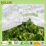 Covering vegetable uesed as pp non woven fabric(WJ-AL-0091)