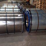 Galvanized steel coil with normal pangle