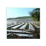 pp Spun Bond Nonwoven for Agriculture Use thumbnail-1