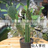 Fake Artificial Plastic Cactus Ball thumbnail-6