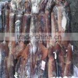 Frozen Seafood Illex Squid 100-150g thumbnail-2