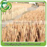 Hot Sale Household Eco-friend Pvc Wooden Broom Handle for Wholesales thumbnail-6