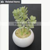 Mini Potted Succulents Plants Factory Selling Mini Artificial Succulents thumbnail-6