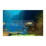 Indoor Immersive 4D Cinema Movie Films With Bubble Snow Rain Lighting Perfect Fusion Effect