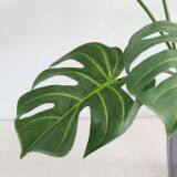 High Quality Artificial Plant Photography Props Real Touch Latex Turtle Leaf thumbnail-5