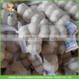 Jinxiang New Crop Fresh Wholesale Garlic thumbnail-1